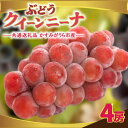 【ふるさと納税】クインニーナ4房 県内共通返礼品:かすみがうら市産【配送不可地域:離島・沖縄県】 (BR160)