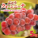 【ふるさと納税】クインニーナ5kg 県内共通返礼品:かすみがうら市産【配送不可地域:離島・沖縄県】 (BR161)