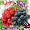 【ふるさと納税】桐箱入りナガノパープル1房・我が道1房 県内共通返礼品:かすみがうら市産【配送不可地域:離島・沖縄県】 (BR166)