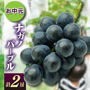 【ふるさと納税】お中元ナガノパープル2房 県内共通返礼品:かすみがうら市産【配送不可地域:離島・沖縄県】 (BR168)