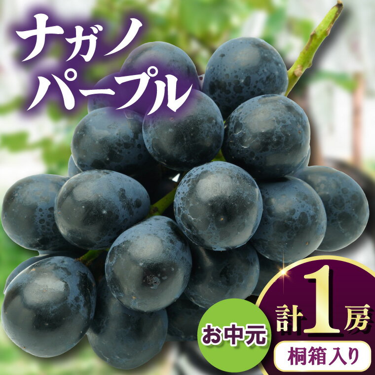 【ふるさと納税】お中元桐箱入りナガノパープル1房 県内共通返礼品:かすみがうら市産【配送不可地域:離島・沖縄県】 (BR170)