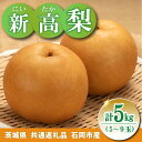 【ふるさと納税】大玉梨 新高 5kg(5〜9玉)県内共通返礼品石岡市産【配送不可地域:離島・沖縄県】 (BR175)
