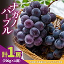 【ふるさと納税】ナガノパープル700g×1房 県内共通返礼品かすみがうら市産【配送不可地域:離島・沖縄県】 (BR179)