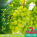 【ふるさと納税】シャインマスカット700g×2房【配送不可地域:離島・沖縄県】 (BR180)