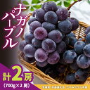 【ふるさと納税】ナガノパープル700g×2房 県内共通返礼品かすみがうら市産【配送不可地域:離島・沖縄県】 (BR182)