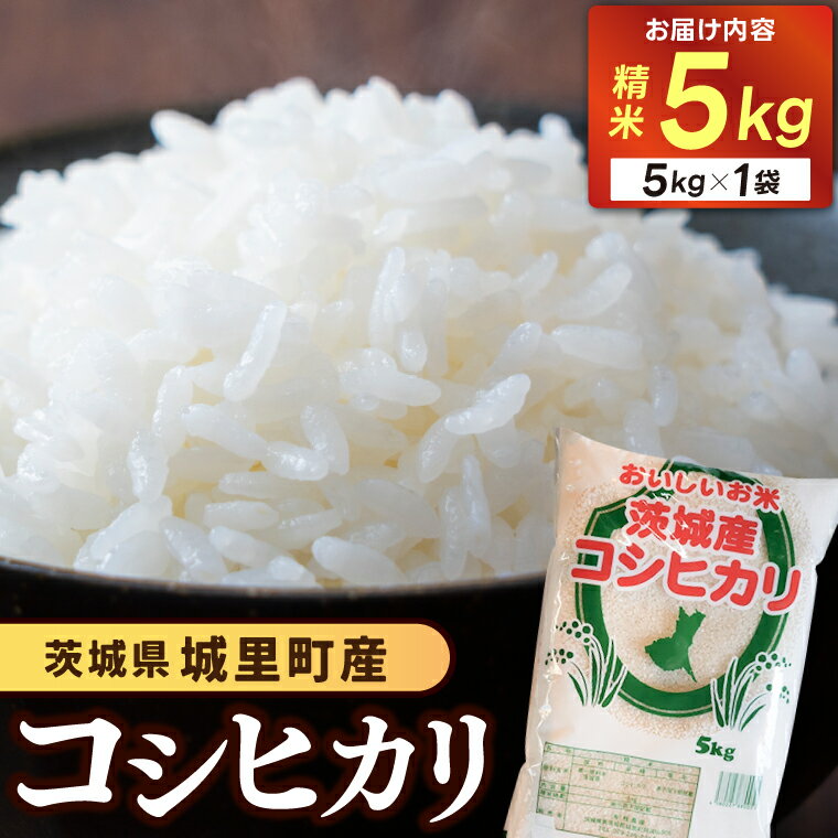 【ふるさと納税】精米 5kg コシヒカリ 令和7年産 こしひかり 精白米 お米 米 ご飯【配送不可地域:離島】 (AX012)