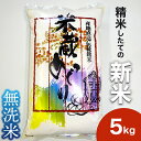 【ふるさと納税】\新米 先行予約/ 米 5kg 無洗米 こしひかり 【令和7年産】 お米 白米 コシヒカリ 無洗米5kg 茨城県 城里町【配送不可地域:離島】 ...