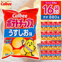 【ふるさと納税】 ポテトチップス カルビー 「うすしお味」16袋(55g×16袋)1ケース 総計880g【ポテチ Calbee うすしお セット 菓子 ポテト チップス スナック おやつ しお じゃがいも ジャガイモ お取り寄せ まとめ買い 詰め合わせ 詰合せ 人気 送料無料】 (BG026)