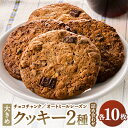 3位! 口コミ数「0件」評価「0」チョコチャンククッキー&オートミールレーズンクッキーの詰合せ(20枚入り)【1088535】