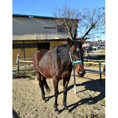 茨城県東海村の画像3