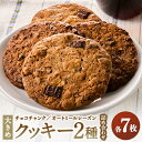 【ふるさと納税】チョコチャンククッキー&オートミールレーズンクッキーの詰め合わせ(2種×7枚 計14枚)【1132444】