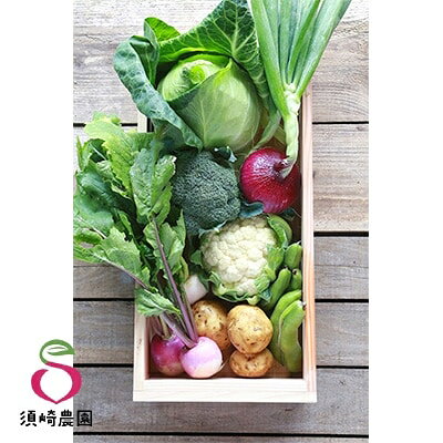 2023年10月発送開始『定期便』【須崎農園】こだわり栽培旬野菜セット 全4回【配送不可地域：離島】【5092415】