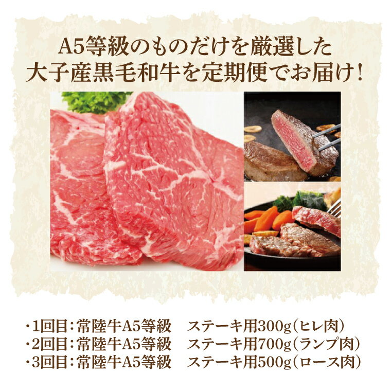 【ふるさと納税】【3ヶ月定期便】常陸牛A5等級　ステーキ用（ヒレ肉・ランプ肉・ロース肉）（AC019）