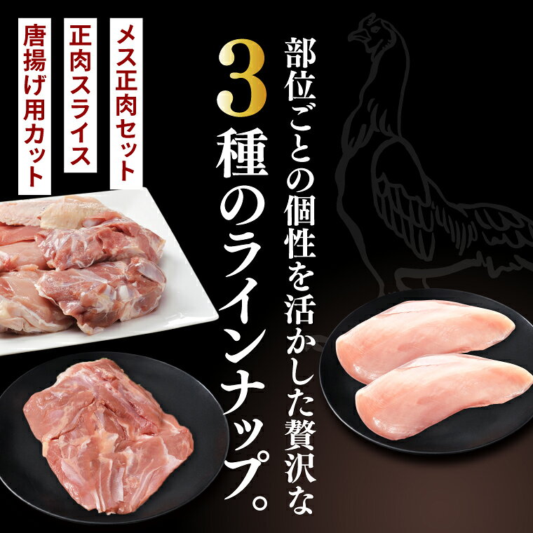 【ふるさと納税】奥久慈しゃも肉詰め合わせ・バラエティ部位セット（計1.45kg）（メス正肉1羽分約850g・正肉スライス約400g・唐揚げ用カット約200g）｜茨城県 大子町 奥久慈 袋田 奥久慈しゃも生産組合 軍鶏 シャモ 地鶏 鶏肉 正肉 からあげ ささみ 冷凍（AR008） f083640-daigo-10000473 茨城県大子町 サンプル画像2