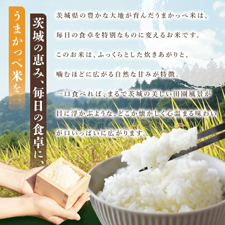 【ふるさと納税】【選べる内容量】令和7年産【新米】奥久慈の恵みうまかっぺ米（コシヒカリ）4kg or 5kg or 7kg｜茨城県 大子町 お米 白米 精米 ブランド米 銘柄米 食味値 ふっくら もちもち （AH001-2）