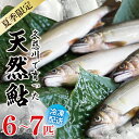 151位! 口コミ数「0件」評価「0」【夏季限定】清流 久慈川 天然鮎 6~7匹|茨城県 大子町 あゆ 魚 川魚 冷凍(AA001)
