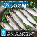 茨城県大子町の画像2