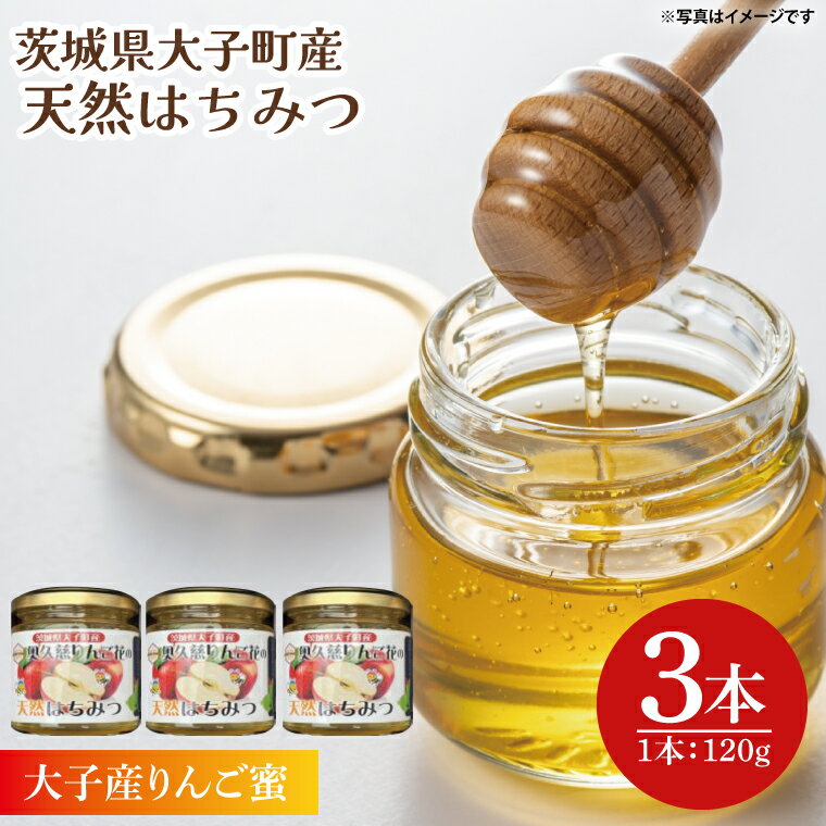 【ふるさと納税】天然はちみつ【大子のりんご蜜 120g×3本セット】 ハニー 大子産 国産 ハチミツ(BG003)