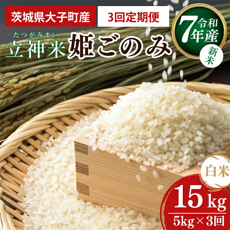 [3ヶ月定期便][新米]令和7年産 立神米「姫ごのみ」(白米)定期便 5kg ×3回|茨城県 大子町 米 コンテスト 受賞 生産者 大子産米 産地直送