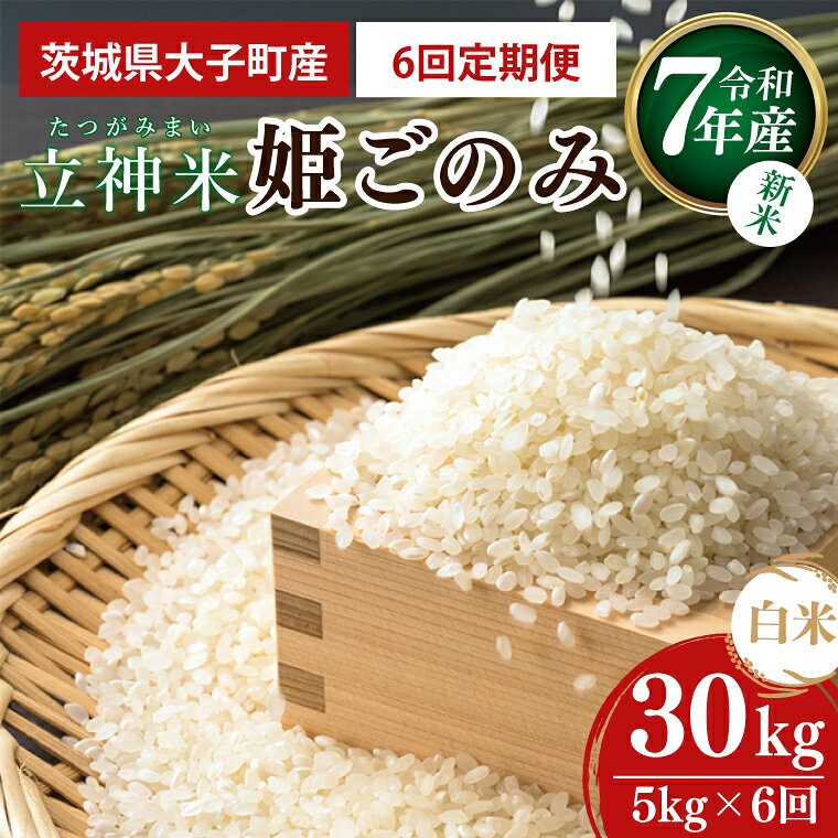 【6ヶ月定期便】【新米】令和7年産 立神米「姫ごのみ」（白米）定期便 5kg× 6回｜茨城県 大子町 米 コンテスト 受賞 生産者 大子産米 産地直送 定期便(BT073)