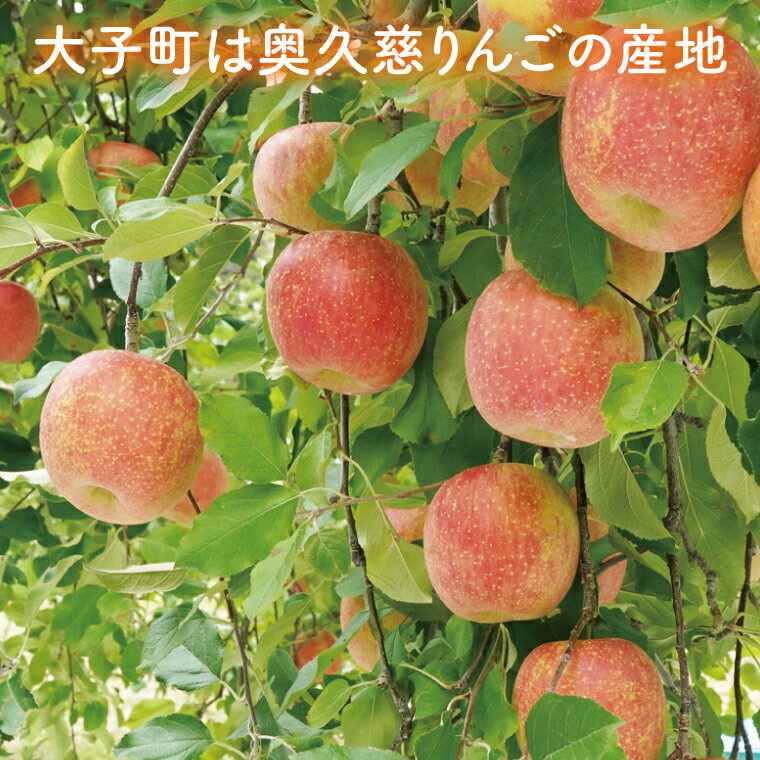 【ふるさと納税】【数量限定/先行予約】樹上完熟の奥久慈りんご「サンふじ」約3kg（6～14玉）or 約5kg（12～23玉）or 約10kg（24～46玉）【2025年11月上旬頃より順次発送予定】斉藤りんご園第2直売所｜茨城県 大子町 林檎 果物 フルーツ 旬（CG007-1）