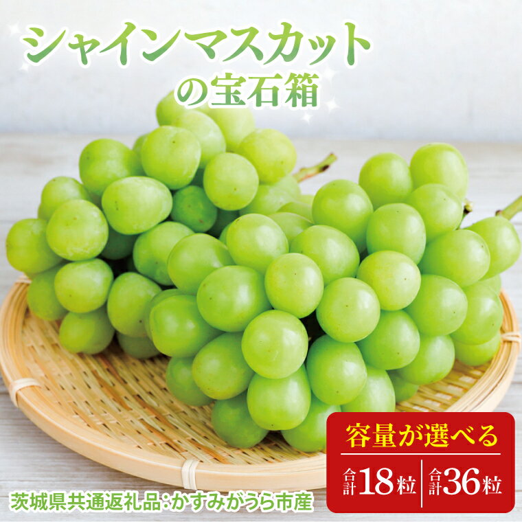 【ふるさと納税】【先行予約】【お歳暮】シャインマスカットの宝石箱(茨城県共通返礼品:かすみがうら市)|プレゼント 贈答 贈り物 ぶどう 葡萄 ブドウ マスカット 茨城県 大子町(CD189)