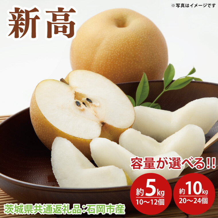 【ふるさと納税】【先行予約】新高 約5kg 10~12個(茨城県共通返礼品:石岡市産)※2025年10月上旬~10月下旬頃に順次発送予定(CD066-1)