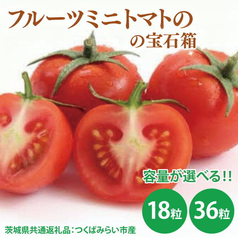 【ふるさと納税】【先行予約】【選べる】フルーツミニトマトの宝石箱 18粒・36粒(茨城県共通返礼品:つくばみらい市産)※2026年1月上旬~3月下旬頃に順次発送予定(CD090)