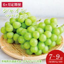 【ふるさと納税】【先行予約】【2025年8月より発送開始】【6ヶ月定期便】6か月連続 シャインマスカット 毎月約5kg (7~9房)(茨城県共通返礼品:かすみがうら市産)(CD150)