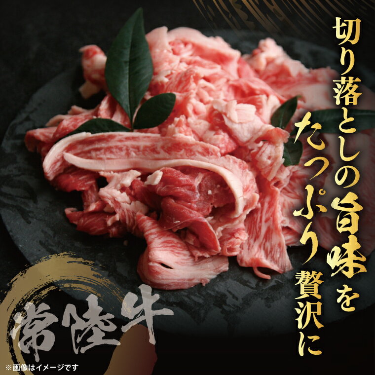 【ふるさと納税】【茨城県共通返礼品】【選べる定期便回数】常陸牛切り落とし1kg（500g×2）｜ブランド牛 銘柄牛 和牛 黒毛和牛 国産 A5・A4ランク 等級 お肉 牛肉 牛丼 すき焼き 炒め物 小分け 茨城県 大子町（DD010）