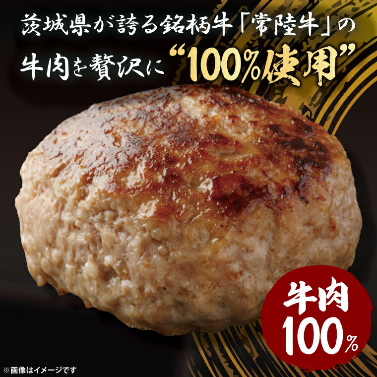 【ふるさと納税】【茨城県共通返礼品】常陸牛100％ ハンバーグ 120g×6個｜ブランド牛 銘柄牛 和牛 黒毛和牛 国産 A5・A4ランク 等級 お肉 牛肉 真空 小分け 個包装 茨城県 大子町（DD020）