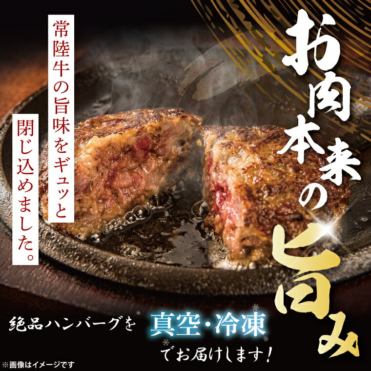 【ふるさと納税】【茨城県共通返礼品】常陸牛100％ ハンバーグ 120g×6個｜ブランド牛 銘柄牛 和牛 黒毛和牛 国産 A5・A4ランク 等級 お肉 牛肉 真空 小分け 個包装 茨城県 大子町（DD020）