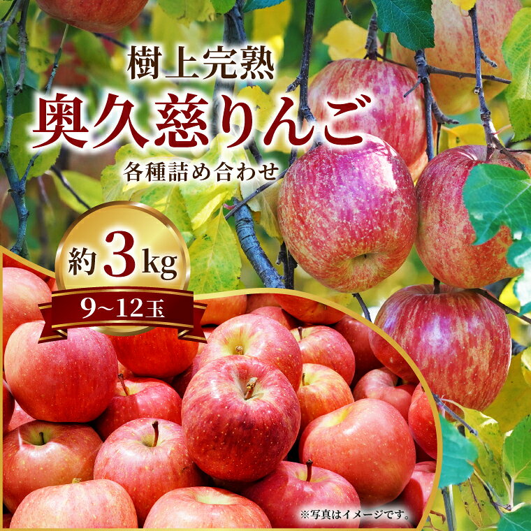 【ふるさと納税】仲野りんご園の奥久...