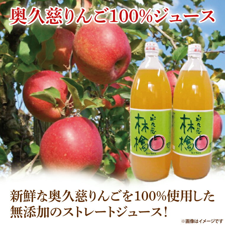 【ふるさと納税】先行予約 奥久慈 りんご 10kg 24～40玉 りんごジュース 100％ リンゴジュース 飲料 無添加 ストレートジュース 樹上完熟 フルーツ ふじ 秋映 陽光 シナノゴールド シナノスイート 秋 旬 お取り寄せ 数量限定 【2026年11月中旬頃順次発送開始予定】(AI005-1)
