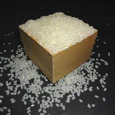 『食べ比べセット』安心栽培米(コシヒカリ)玄米食最適米(ミルキークイーン)精米(各4.5kg×2)