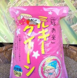 【令和5年産】美浦村産厳選良質米「ミルキークイーン」5kg【1200069】