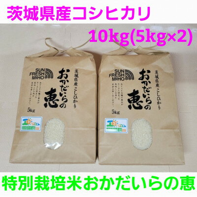 【ふるさと納税】【令和4年産】茨城県産コシヒカリ 特別栽培米おかだいらの恵10kg　精米(5kg×2袋)【1294946】