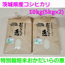 5位! 口コミ数「1件」評価「5」【令和5年産】茨城県産コシヒカリ 特別栽培米おかだいらの恵10kg　精米(5kg×2袋)【1294946】