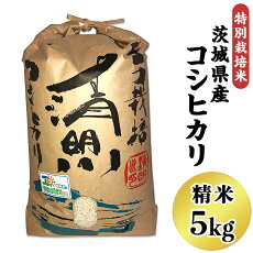 【ふるさと納税】20-01茨城県産コシヒカリ特別栽培米5kg【大地のめぐみ】
