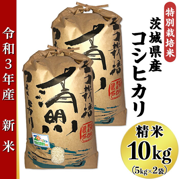 【ふるさと納税】20-02茨城県産コシヒカリ特別栽培米10kg（5kg×2袋）【大地...