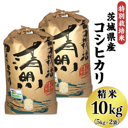 20-02茨城県産コシヒカリ特別栽培米10kg（5kg×2袋）【大地のめぐみ】