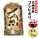 2位! 口コミ数「0件」評価「0」定期便 お楽しみ 20-03【3ヵ月連続お届け】茨城県産コシヒカリ特別栽培米5kg【大地のめぐみ】