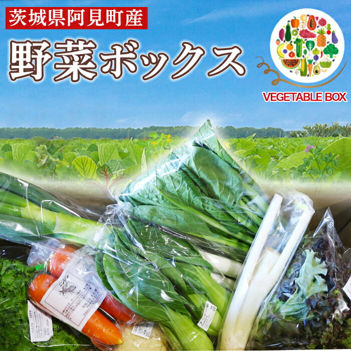 【ふるさと納税】20-05阿見町産野菜ボックス（7〜8品）