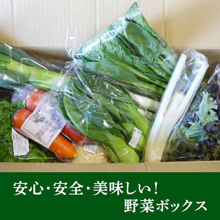 【ふるさと納税】定期便 お楽しみ 20-07【6ヵ月連続お届け】阿見町産野菜ボックス（7〜8品）