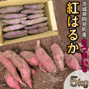 【ふるさと納税】20-11茨城県阿見町産さつまいも（紅はるか）5kg