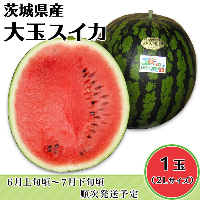 スイカ 1玉 すいか 西瓜 果物 フルーツ 国産 阿見町 甘い 送料無料 20-19茨城県産大玉スイカ(2Lサイズ)[大地のめぐみ](2024年6月上旬〜7月下旬頃にお届け)