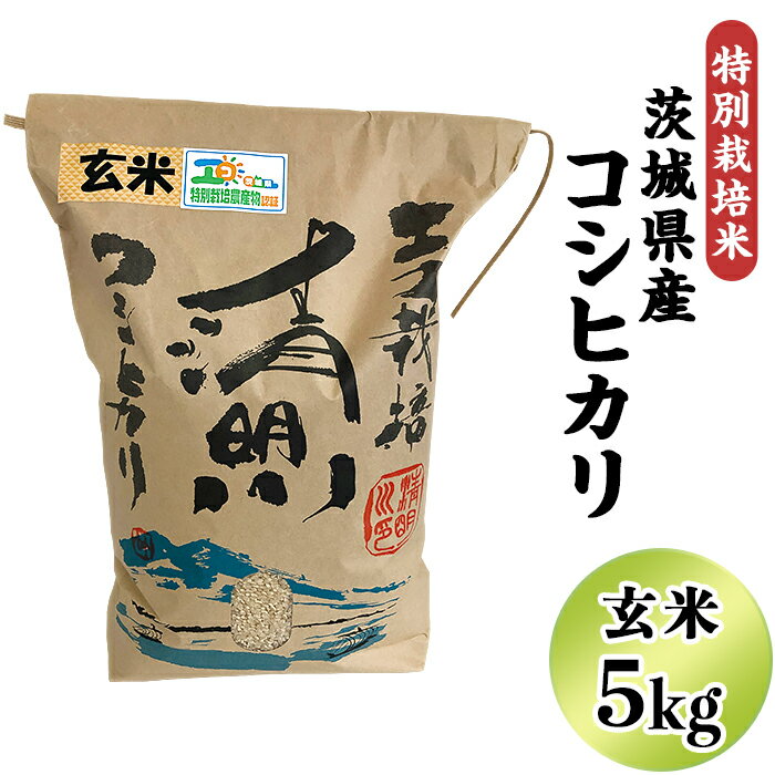 20-20茨城県産コシヒカリ特別栽培米5kg(玄米)[大地のめぐみ]