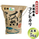 【ふるさと納税】20-20茨城県産コシヒカリ特別栽培米5kg（玄米）【大地のめぐみ】