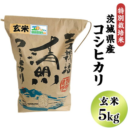 20-20茨城県産コシヒカリ特別栽培米5kg（玄米）【大地のめぐみ】