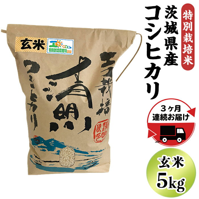 16位! 口コミ数「0件」評価「0」定期便 お楽しみ 20-22【3ヵ月連続お届け】茨城県産コシヒカリ特別栽培米5kg（玄米）【大地のめぐみ】